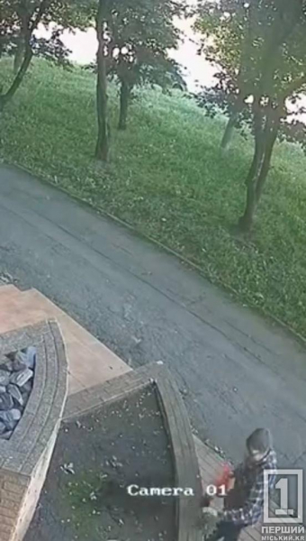 Хвилина сорому на камеру: у Кривому Розі перехожа вкрала рослину з-під манікюрного салону