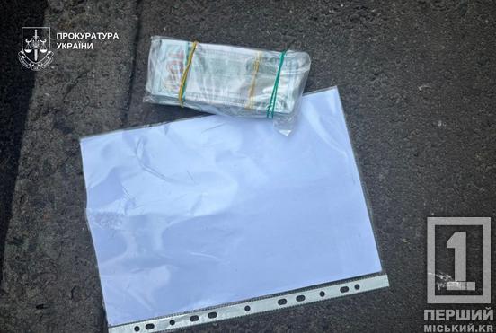 Купити «непридатність» за 25 тисяч доларів: на Дніпропетровщині затримали юного організатора схеми