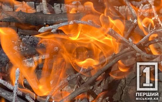 Штрафи за шашлики на природі: скільки доведеться заплатити за порушення правил