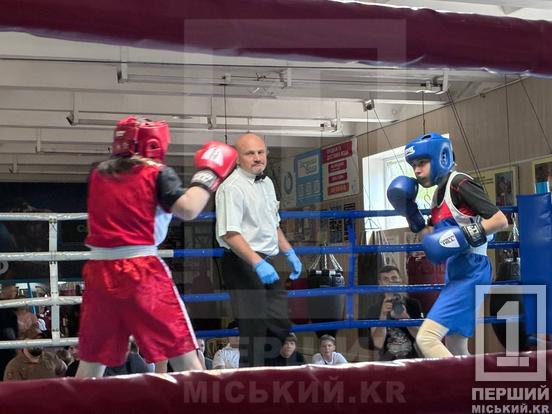 У Кривому Розі відбувся дитячий чемпіонат з боксу «Кубок вікінгів»