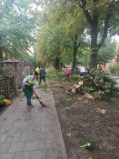 У Львові блискавка влучила у 6-річну дівчинку: дитина в реанімації