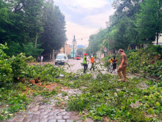 У Львові блискавка влучила у 6-річну дівчинку: дитина в реанімації