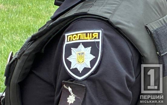 У Павлограді поліція розслідує знущання неповнолітньої над котами