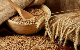 Україна скоротила експорт агропродукції у травні на 8,6% — до 5,2 млн тонн