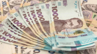 Українським фермерам виплачуватимуть до 1000 гривень за гектар: уряд запускає нову програму підтримки
