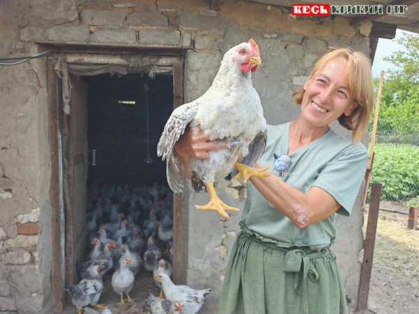 Переселенка з Краматорська розводить курей в Криворізькому районі