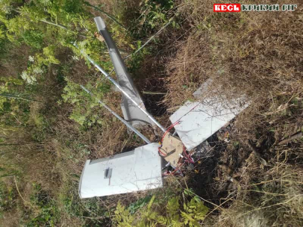 БПЛА Молнія валяється в Мар’янському Криворізького району