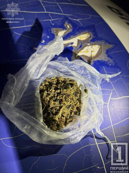 Випив після зупинки та мав при собі траву: у Кривому Розі патрульні спіймали порушника