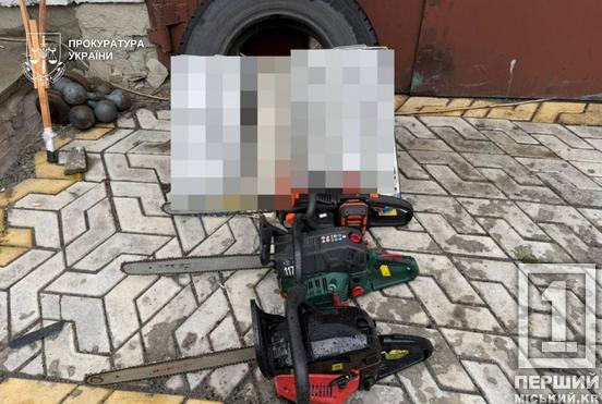 Вирубали ліс на 14 мільйонів: на Дніпропетровщині піймали велику банду «чорних лісорубів»