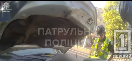 Взаємовиручка на дорозі: у Кривому Розі велопатруль допоміг водієві полагодити зламане авто