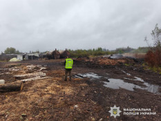 Адвоката та двох спільників судитимуть за незаконне виробництво деревного вугілля на Житомирщині