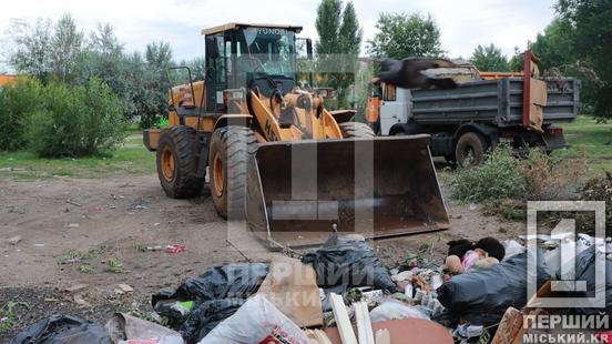 Будівельне сміття та меблі повз баки: на Східному-3 боролися зі стихійним звалищем біля Парку Щастя