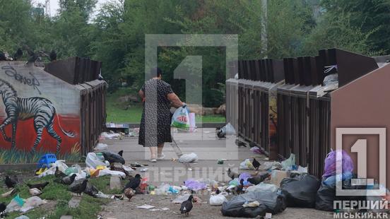 Будівельне сміття та меблі повз баки: на Східному-3 боролися зі стихійним звалищем біля Парку Щастя