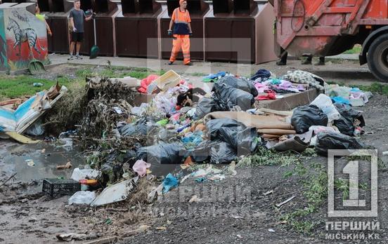 Будівельне сміття та меблі повз баки: на Східному-3 боролися зі стихійним звалищем біля Парку Щастя