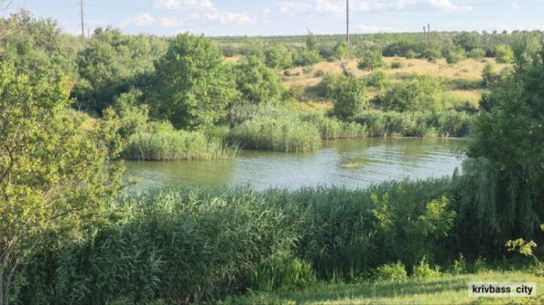 Водойми Криворіжжя