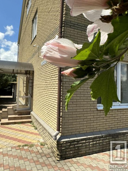 Догляд за людьми з деменцією: як забезпечити безпеку та гідну старість рідній людині