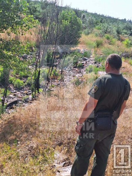 Екологічне порушення на Зарічному: у Покровському районі виявили велике стихійне сміттєзвалище