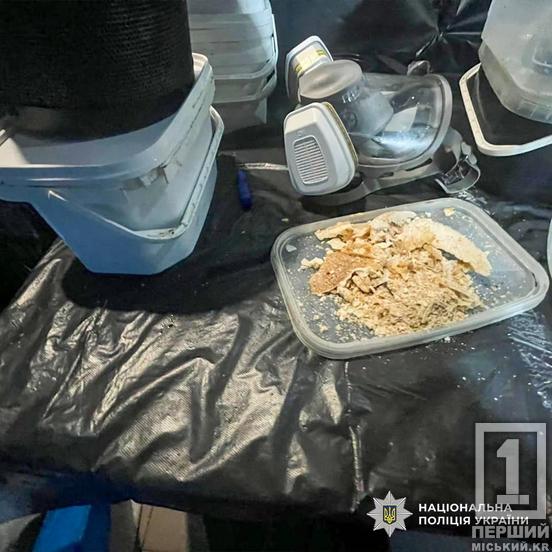 Керували з-за кордону, пересилали заборонку поштою та заробляли мільйони: на Дніпропетровщині СБУ та поліція знешкодили наркосиндикат