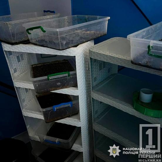 Керували з-за кордону, пересилали заборонку поштою та заробляли мільйони: на Дніпропетровщині СБУ та поліція знешкодили наркосиндикат