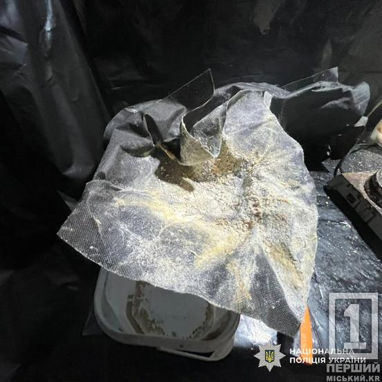 Керували з-за кордону, пересилали заборонку поштою та заробляли мільйони: на Дніпропетровщині СБУ та поліція знешкодили наркосиндикат