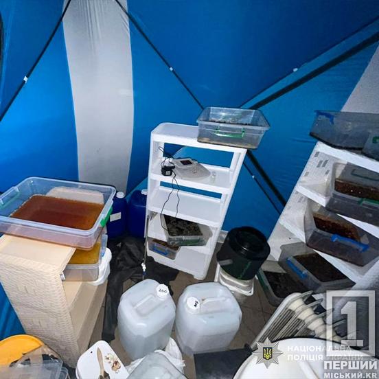 Керували з-за кордону, пересилали заборонку поштою та заробляли мільйони: на Дніпропетровщині СБУ та поліція знешкодили наркосиндикат