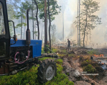 Лісову пожежу на Житомирщині гасили чотири доби