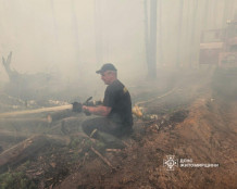 Лісову пожежу на Житомирщині гасили чотири доби