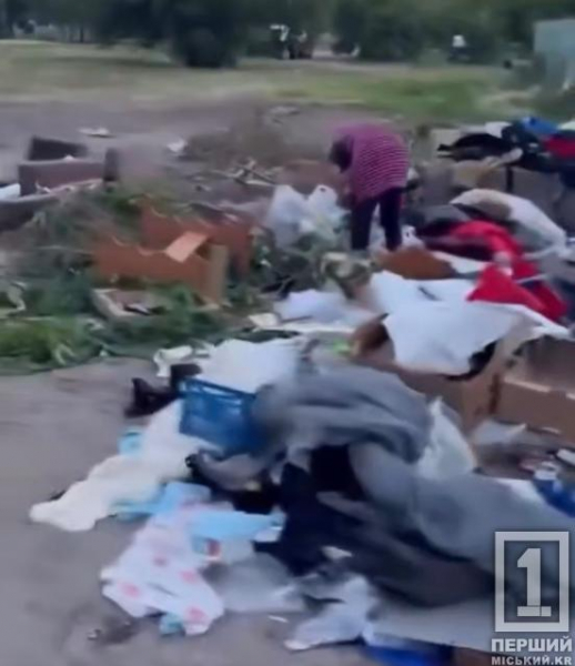 Меблі та відходи повз баки: у Кривому Розі утворюються стихійні звалища