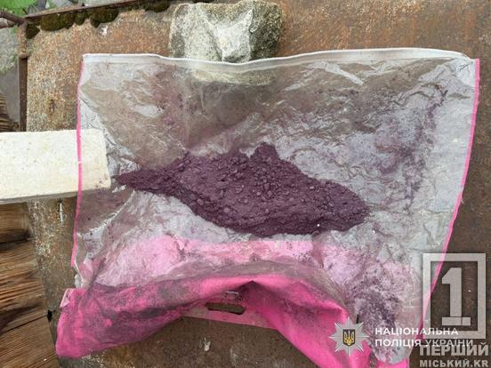 Мільйонні прибутки та десятки обшуків: у Дніпрі ліквідували два потужні наркоугруповання