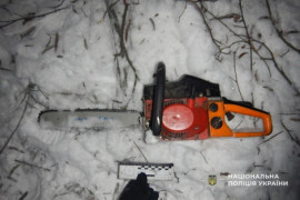 На Дніпропетровщині чоловік рубав дерева в заповідному урочищі