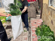 На Дніпропетровщині правоохоронці викрили два організовані наркоугруповання та повідомили про підозру 15 зловмисникам