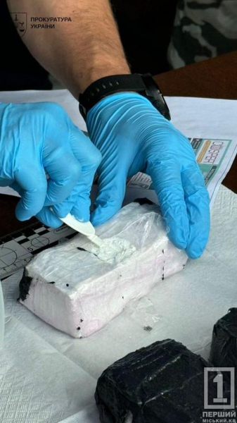 Перекрили канал постачання кокаїну в Україну: затримали ділка з партією на 52 тисячі доларів