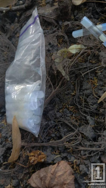 Побачив патрульних — викинув «чек»: у Кривому Розі ТОРівці затримали двох хлопців із наркотиками