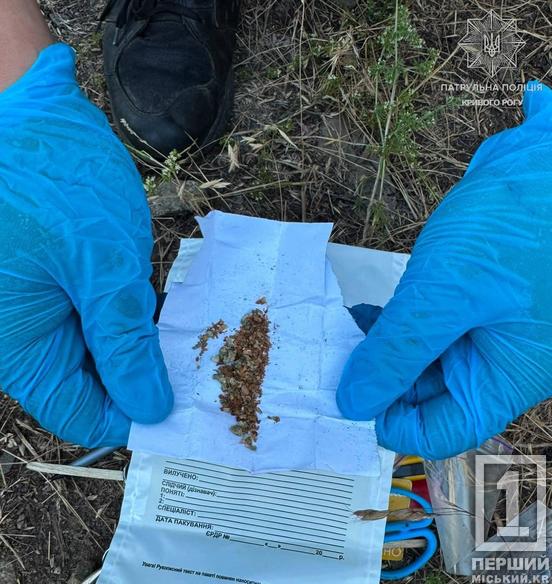 Понад 30 наркозлочинів з початку липня: у Кривому Розі поліція перевіряє підозрілих осіб