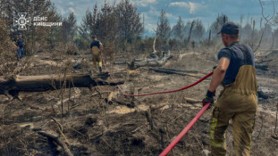 Пожежі в Чорнобильській зоні: ліквідовано загоряння на 130 га, роботи тривають ще на трьох осередках