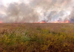 Пожежі в заповіднику «Асканія-Нова» знищили майже 2 тисячі гектарів унікального степу
