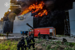 Російські авіабомби знищили найбільшу птахофабрику Європи на Херсонщині