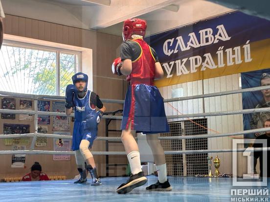 Справжній характер та воля до перемоги: у Кривому Розі пройшов 19-й «Кубок вікінгів» з боксу