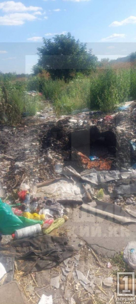«Свині» і досі серед нас: на вулиці Чорноморській у Кривому Розі утворилося стихійне звалище