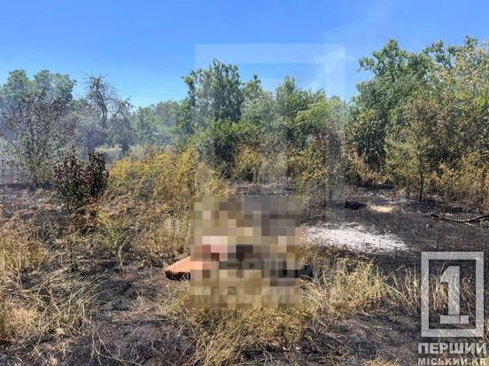Трагедія у Довгинцівському районі: під час пожежі на дачах загинув літній чоловік