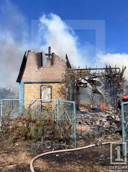 Трагедія у Довгинцівському районі: під час пожежі на дачах загинув літній чоловік