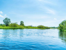 У Дніпрі та районі вода на більшості пляжів та стихійних зон відпочинку не відповідає санітарним нормам