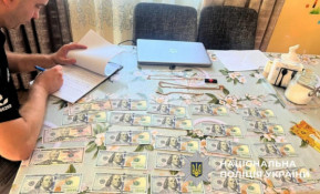 У Дніпропетровщині затримано шістьох осіб за напад на волонтера
