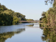 У двох водоймах Криворіжжя виявили холероподібний вібріон