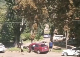 У Кривому Розі водійка Ford Focus врізалася в дерево: обійшлося без постраждалих