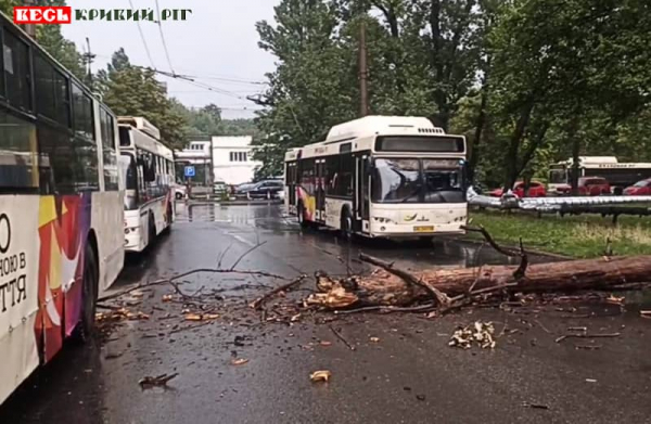 Дерево упало та обірвало контактну мережу тролейбусів на РЗФ-1 в Кривому Розі