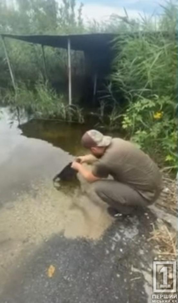 Врятували раків та очистили водойму від раколовок: на Карачунівському водосховищі вилучили браконьєрські сітки