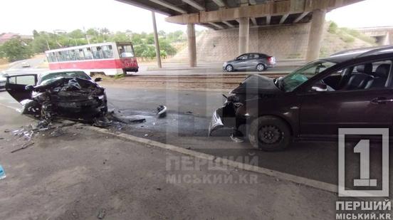 Їхала «проти шерсті»: у Кривому Розі водійка лоб у лоб протаранила Renault