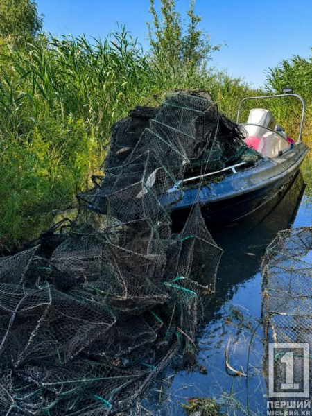 «Забули» 61 пастку: на Криворіжжі з браконьєрських тенет визволили більше тисячі раків