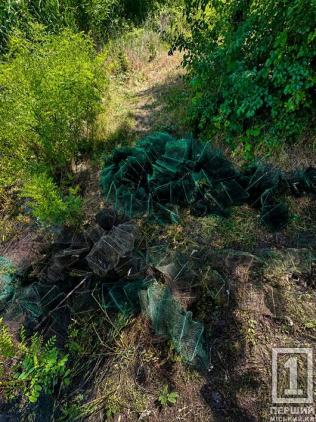 «Забули» 61 пастку: на Криворіжжі з браконьєрських тенет визволили більше тисячі раків